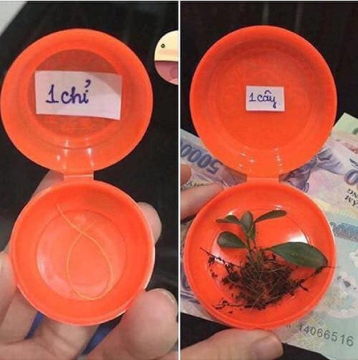 Đu trend đi sắm vàng mà không biết nên mua "1 chỉ" hay "1 cây". (Ảnh: Giang Vũ)