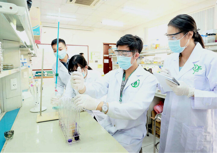 4 trường đại học dự kiến nâng đời lên thành đại học. (Ảnh minh hoạ)