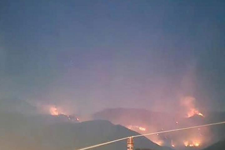 Vị trí đám cháy tại Tiểu khu 286, khu vực Nà Háng. (Ảnh: Đ.X.)