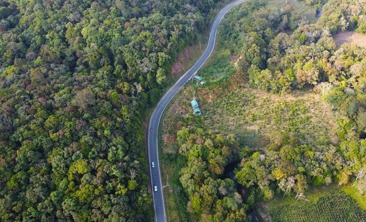Đường liên vùng kết nối tỉnh Khánh Hòa với Lâm Đồng và tỉnh Ninh Thuận sẽ động thổ vào đầu tháng 3/2024. (Ảnh: Trung Nhân)