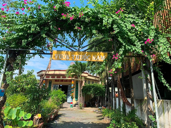 Vườn thuốc nam tại Tổ đình Hưng Minh Tự.