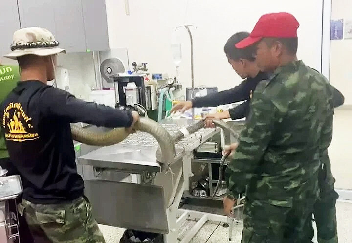 Nhóm binh sỹ đưa con rắn hổ mang chúa đi cấp cứu.
