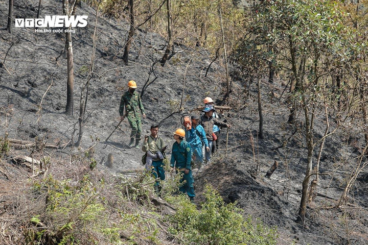 Cán bộ, chiến sĩ, lực lượng dân quân tự vệ cùng Nhân dân tham gia dập cháy rừng ở Vườn quốc gia Hoàng Liên hồi cuối tháng 2. (Ảnh: Đắc Huy)