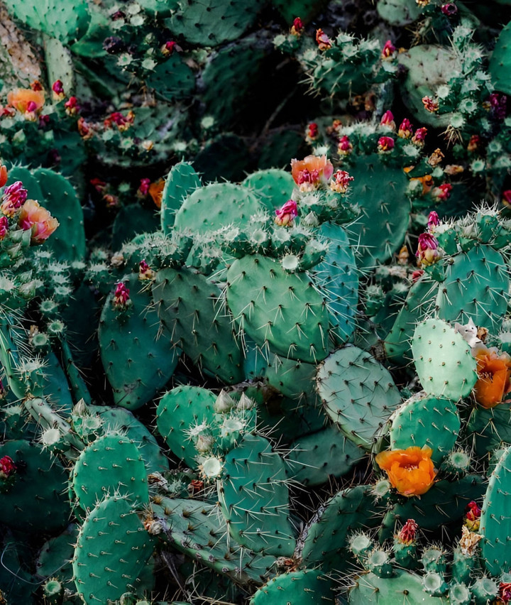 Câu đố dành cho người tinh tường.