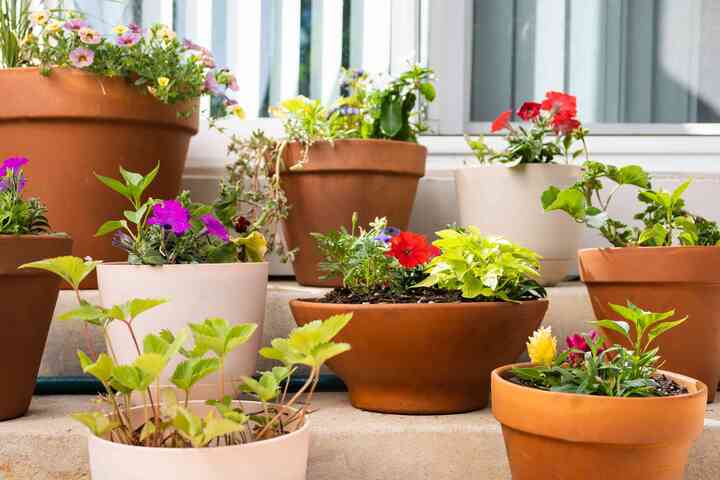 Rễ cỏ giúp đất tơi xốp, thoáng khí, đưa được nhiều O2 và CO2 vào tầng đất sâu, giúp rễ cây trồng hô hấp và hấp thu dinh dưỡng dễ dàng hơn. (Ảnh: The Spruce)