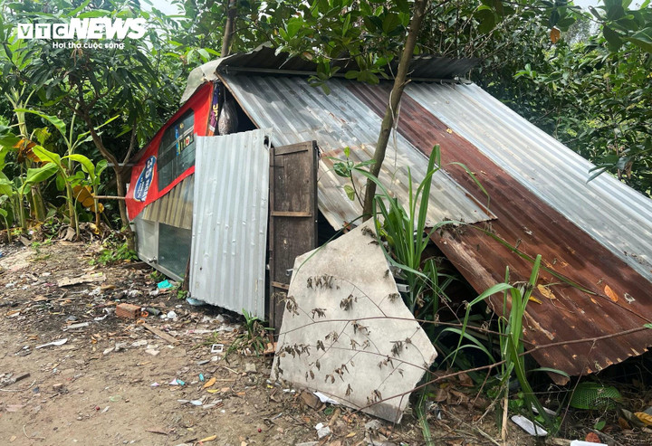 Sau khi bị cưỡng chế, một số hộ dân đã dựng chòi sống tạm.