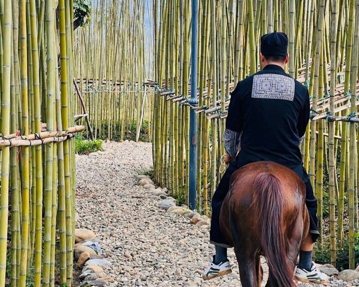 Những chú ngựa - bạn đồng hành quen thuộc trong nếp sống vùng cao.