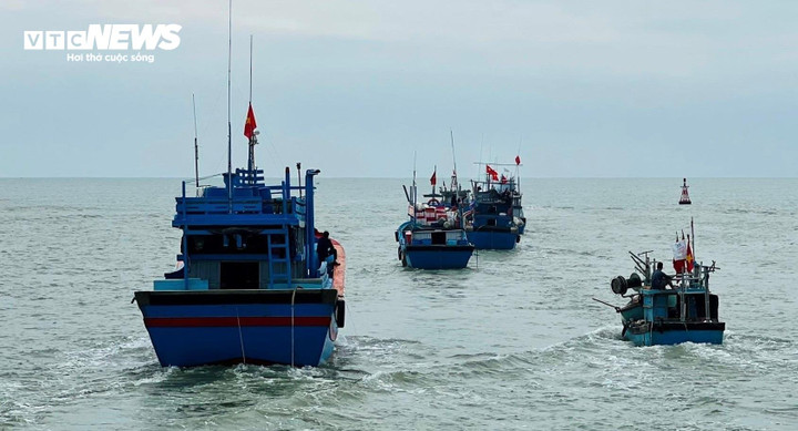 Việt Nam đang nỗ lực gỡ "thẻ vàng" IUU. (Ảnh minh họa: Thanh Ba)