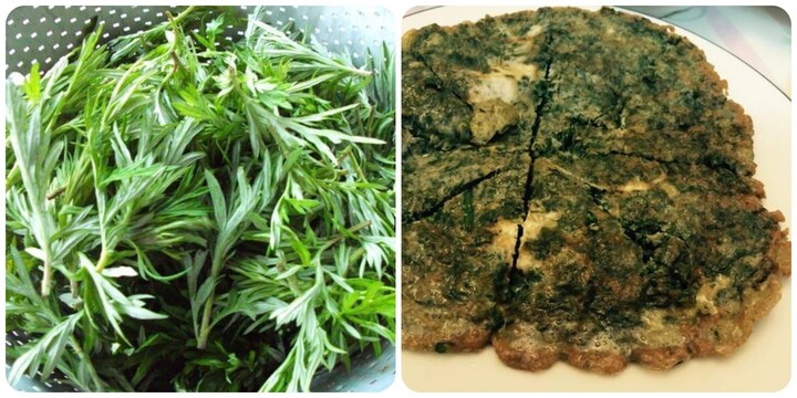 Ngải cứu rất tốt cho sức khoẻ
