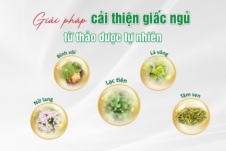 Bí quyết ngủ ngon tròn giấc từ thảo dược tự nhiên - 1