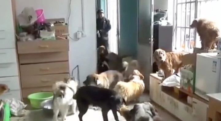 Chi phí vận hành trung tâm có thể lên tới 1.800 nhân dân tệ (6 triệu đồng) mỗi ngày. (Ảnh: Weibo)