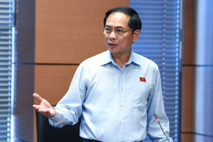 Bộ trưởng Ngoại giao Bùi Thanh Sơn. (Ảnh: Hoàng Hà)