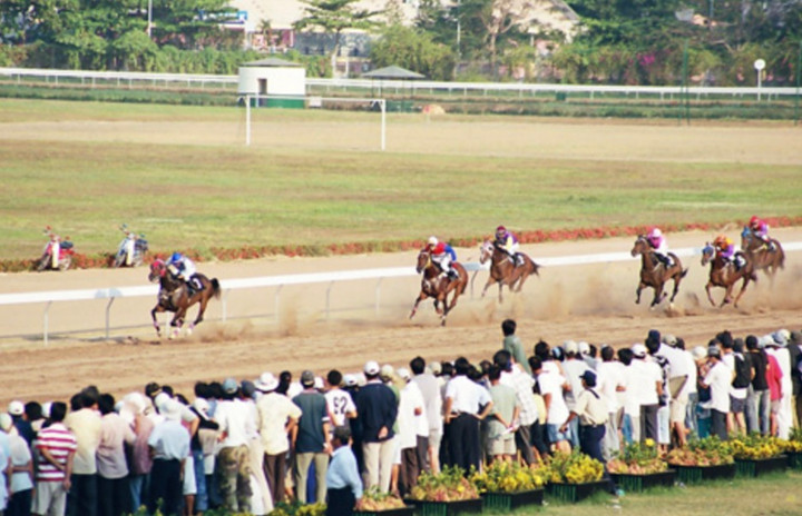 Chưa có doanh nghiệp nào được cá cược bóng đá, đua ngựa, đua chó. (Ảnh minh họa: CAND)