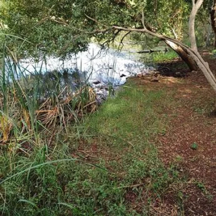 Hiện trường xảy ra vụ việc. (Ảnh: Jamie Pyatt News)