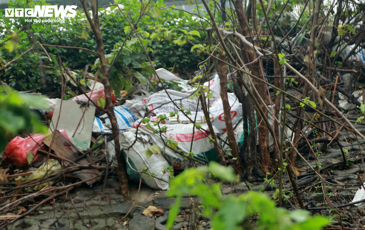 Mỗi ngày lượng rác vứt ra đây càng nhiều hơn. Đại diện UBND phường Nghĩa Đô cho biết đơn vị đã nắm được tình trạng trên.
