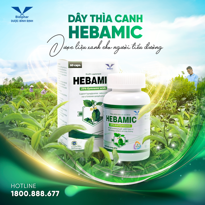Hebamic: Giải pháp an toàn từ thìa canh 3 chuẩn giúp duy trì ổn định đường huyết - 1