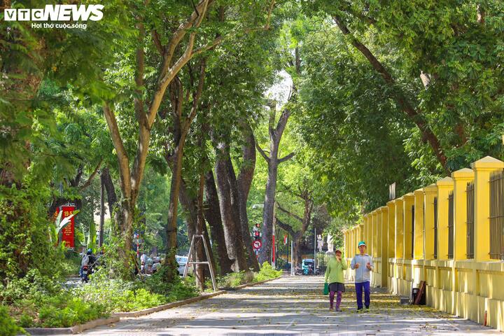 Ngày mai, miền Bắc hửng nắng