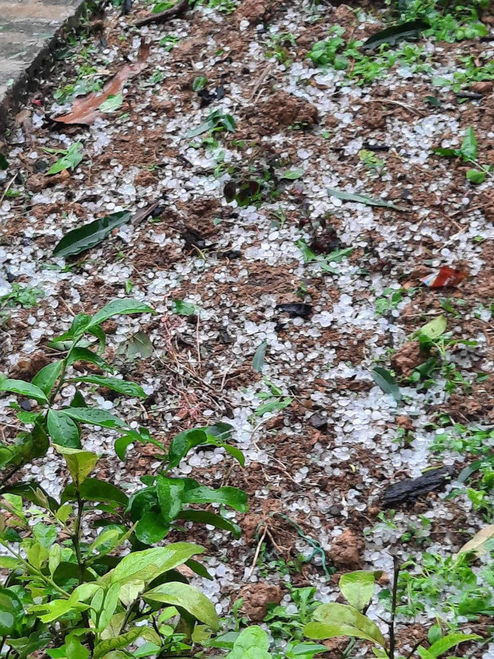 Những viên đá có đường kính 1-3cm. (Ảnh: Đ.X.)