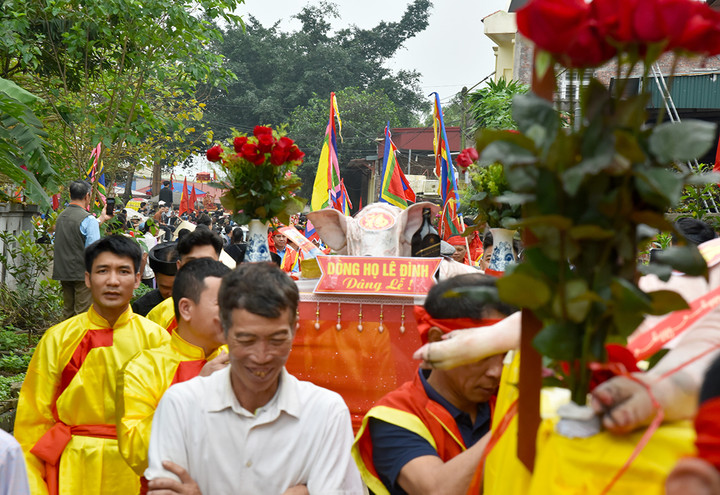 Những “ông lợn” được tuyển chọn để làm lễ vật dâng lên thành hoàng làng.