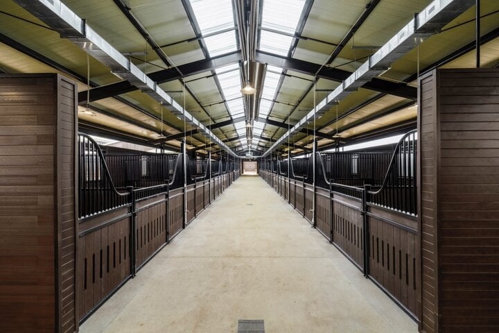 Bên trong khu chuồng chăm sóc ngựa. Mỗi chuồng đều có không gian rộng rãi, thoải mái.