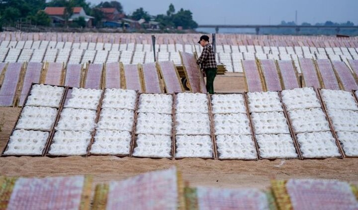 Làm bún song thằn ở An Nhơn, Bình Định.