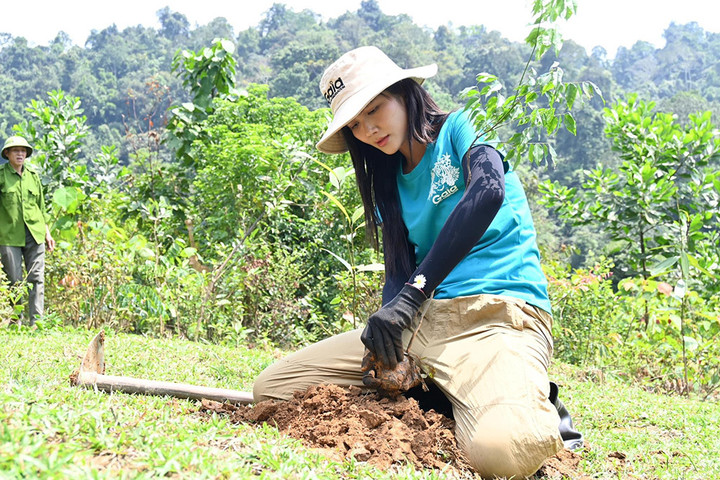 Người đẹp tự tay đào đất để trồng cây.