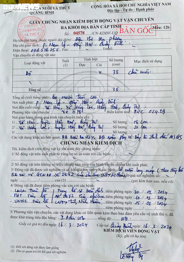 Trên giấy chứng nhận kiểm dịch khỏi địa phương thì chủ hàng là bà Đậu Thị Kim Phượng chứ không phải ông Nguyễn Văn Dụng như trong đơn dự thầu.