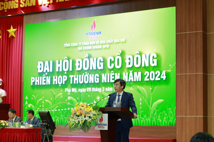 Ông Nguyễn Ngọc Anh báo cáo tại phiên họp.