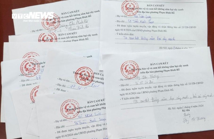 Người dân phường Phạm Đình Hổ ký cam kết không xâm hại cây xanh.