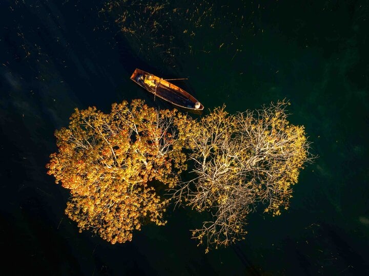 Suối Tía hồ Tuyền Lâm mùa lá vàng đẹp như tranh
