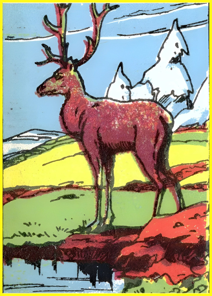 Bạn đã tìm thấy anh thợ săn chưa?