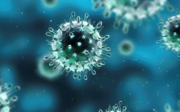 Con người vẫn có thể bị lây nhiễm và mắc bệnh cúm gia cầm A(H9N2) nếu tiếp xúc và sử dụng gia cầm và các sản phẩm gia cầm nhiễm bệnh. (Ảnh minh hoạ)