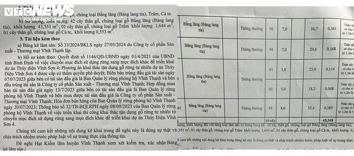 Văn bản đề nghị khai thác của Công ty TNHH Vĩnh Thạnh và bảng kê lâm sản có xác nhận của Hạt Kiểm lâm huyện Vĩnh Thạnh cho phép doanh nghiệp chuyển 44 cây nguyên gốc ra khỏi rừng.