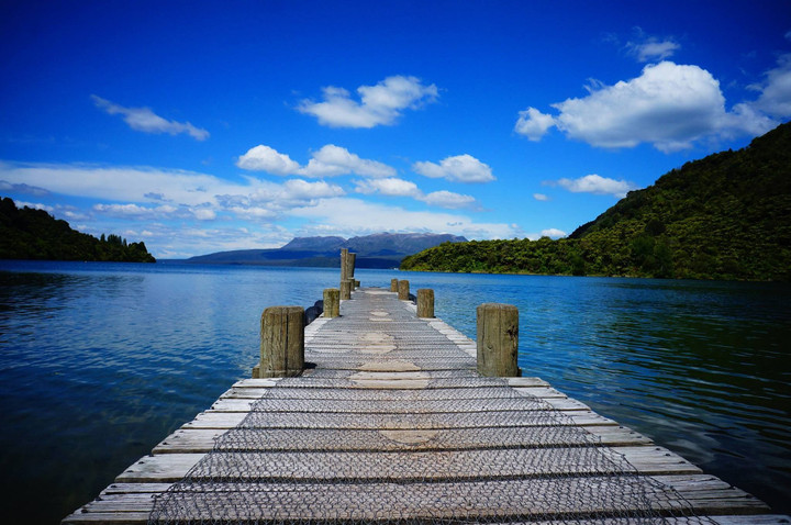 Tarawera ở Rotorua là hồ nước lớn nhất New Zealand - Ảnh: Pinterest
