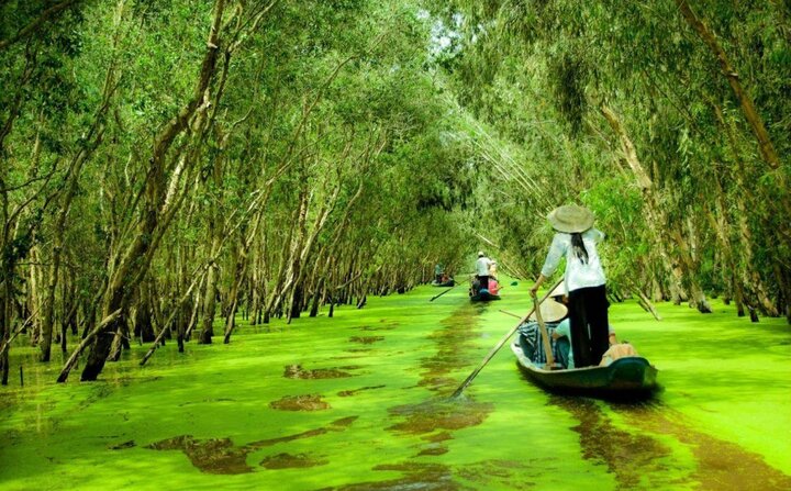 Khi tới đây, du khách có dịp khám phá hệ sinh thái rừng nhiệt đới ngập nước, đầm lầy than bùn còn lại ở Việt Nam thuộc loại hiếm trên thế giới.