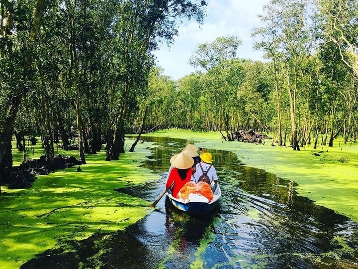 Vườn Quốc gia U Minh Hạ từng được UNESCO đưa vào danh sách các khu dự trữ sinh quyển thế giới và vùng lõi Khu dự trữ sinh quyển mũi Cà Mau.