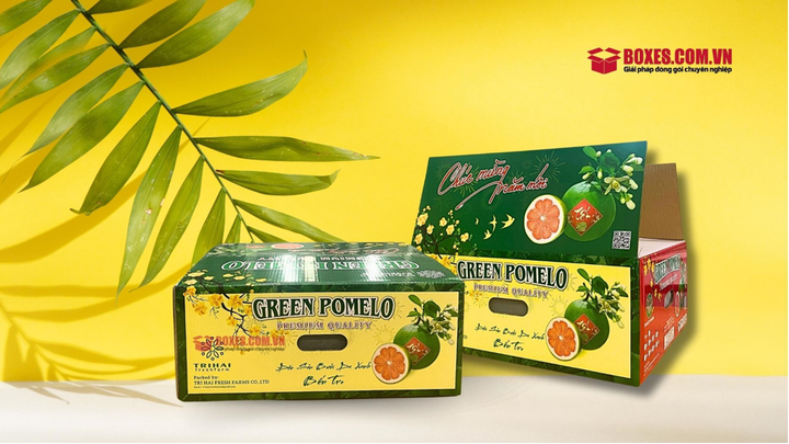 Boxes Việt Nam - Hành trình đưa thùng carton đựng trái cây xuất khẩu ra thế giới - 2