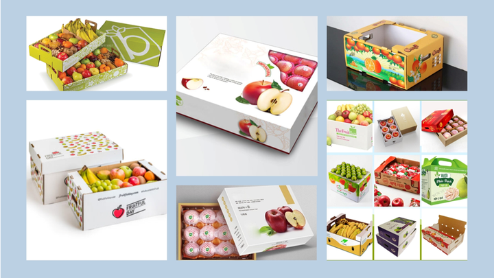 Boxes Việt Nam - Hành trình đưa thùng carton đựng trái cây xuất khẩu ra thế giới - 3