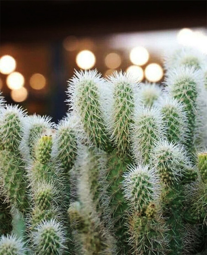 Bạn mất mấy giây?