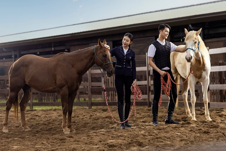 Hệ tiện ích đẳng cấp phục vụ giới thượng lưu tại Vinhomes Royal Island.