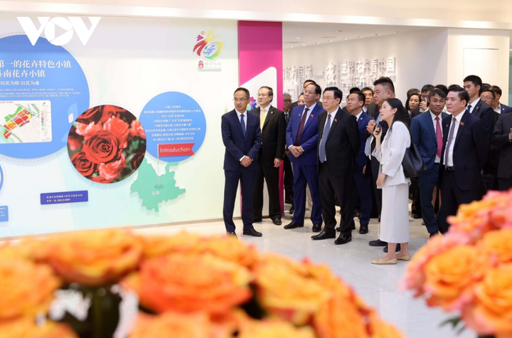 Chủ tịch Quốc hội Vương Đình Huệ và Đoàn đại biểu cấp cao Việt Nam đến thăm dự án tiêu biểu về công nghệ cao tại Trung tâm dịch vụ sáng tạo nông nghiệp xanh Vân Thiên Hóa thuộc Tập đoàn Vân Thiên Hóa tỉnh Vân Nam và Trung tâm Giao dịch đấu giá cây cảnh quốc tế Côn Minh.