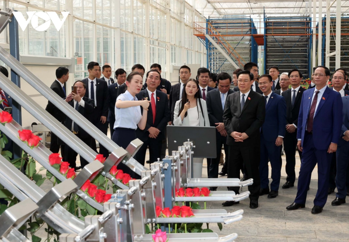 Chủ tịch Quốc hội Vương Đình Huệ mong muốn Tập đoàn sẽ tích cực chia sẻ các kinh nghiệm với các doanh nghiệp nông nghiệp Việt Nam.