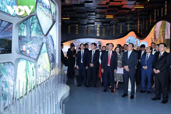 Hai mô hình này đều là những điển hình thành công của tỉnh Vân Nam - một trong những địa phương đầu tiên của Trung Quốc đưa ra mục tiêu đẩy mạnh tăng trưởng xanh và xây dựng văn minh sinh thái.