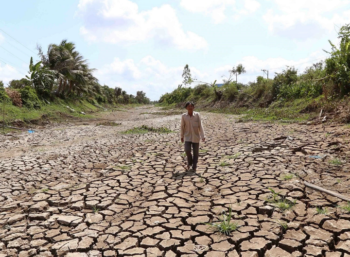 Hạn mặn khốc liệt chưa từng có trong lịch sử đang xảy ra ở tỉnh Tiền Giang (Việt Nam). (Ảnh: Vũ Sinh/TTXVN)