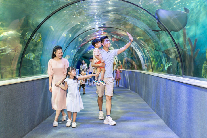 Khu thủy cung Vinpearlland Times City. (Ảnh: vinwonders)