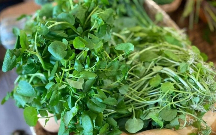 Cải xoong là loại rau quen thuộc với người dân Việt Nam.