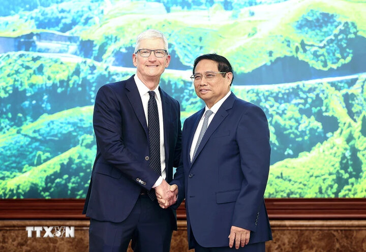 Thủ tướng Phạm Minh Chính tiếp CEO Apple Tim Cook. (Ảnh: TTXVN)