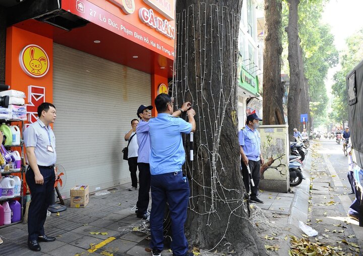 Lực lượng chức năng tháo dỡ đèn trang trí quanh thân cây sao đen.