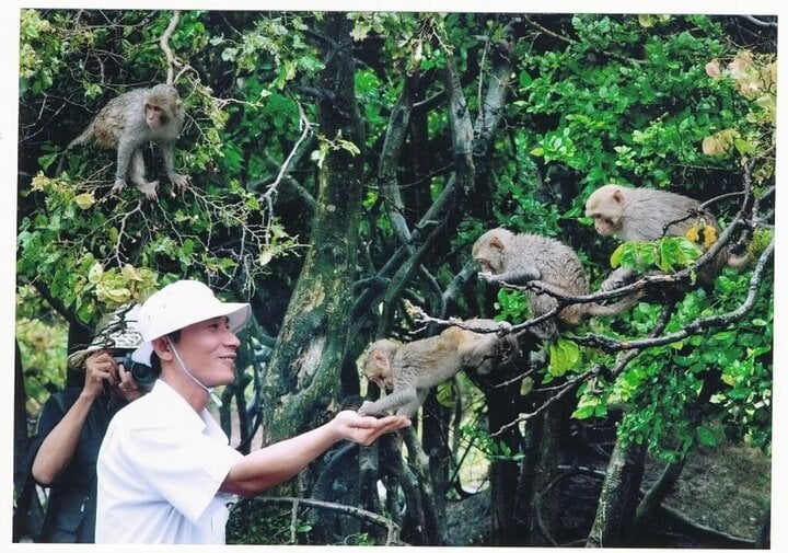 Đảo khỉ chính là điểm hấp dẫn du khách tới du lịch Cát Bà. (Ảnh: Traveloka)