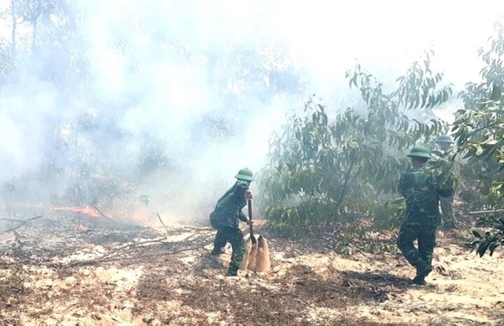 Đồn Biên phòng Phong Hải cùng các lực lượng chức năng dập lửa cứu rừng.